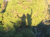 Tanz in der Abendsonne 