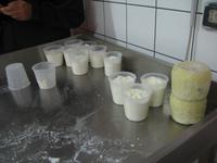 Der Ricotta ist aus Schafsmilch zubereitet. 