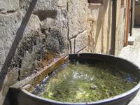 Wasserbecken am Eingangstor