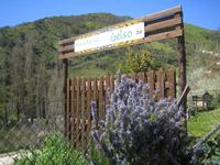 der Agriturimo Gelso 