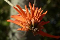 Sizilien 22.04-29.04. 383