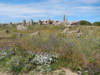 Selinunte Tempel Überreste