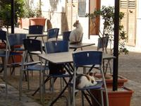 Cefalu - Warten auf Touristen