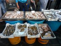 Fischmarkt Catania