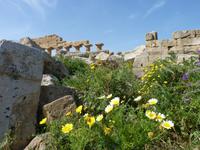 Archeologische Zone Selinunte