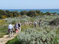 Archeologische Zone Selinunte