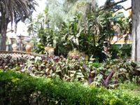 Taormina- Stadtgarten