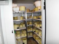 Dorf Sant Angelo Muxaro - Käserei