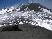Ätna - auch ein Besucher - hier ist es schön warm