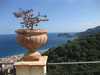 Auf der Terrasse des Hotel Olimpo