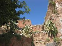 Taormina - Im Griechischen Theater