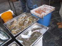 Catania - Mercato della Pescheria - der Fischmarkt