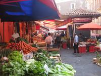 ... frisch geerntetes Gemüse