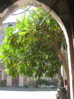 Catania - Castello Ursino - Blick in den Innenhof