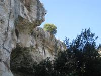 Siracusa / Syrakus - Parco Archeologico della Neapolis