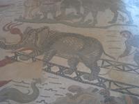 Villa Romana - Fußbodenmosaik Verladung von Tieren beim Transport mit Schiffen