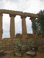 Talder Tempel - Hera-Tempel