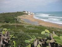 Unsere nächste Etappe: Selinunte, hier der Strand 