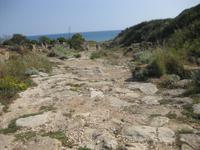 Ausgrabungsstätte Selinunte - eine der Hauptstraßen in der antiken Stadt
