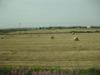 Auf der Fahrt in den Süden nach Ragusa 