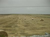 und weiter geht es übers Land nach Donnafugata 