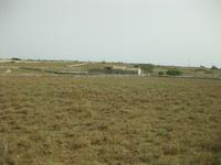 Rückfahrt von Donnafugata