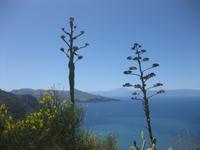 Lipari -Panoramablick