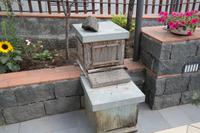 Imkerei auf dem Weg zum Ätna