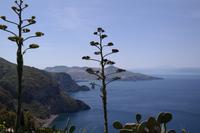 Lipari