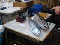 Auf dem Fischmarkt in Catania