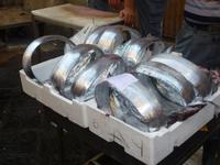 Auf dem Fischmarkt in Catania