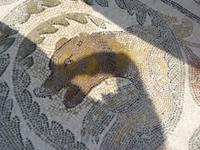 Steinmosaika in der Villa Romana