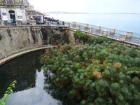 Syrakus - Fonte Aretusa