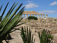 Selinunte - Akropolis mit Apollon Tempel
