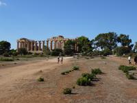 Selinunte - Tempel E (Hera Tempel) 