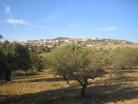 Blick auf die Neustadt von Agrigent 