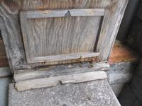 IMG_6838  Bienenstock