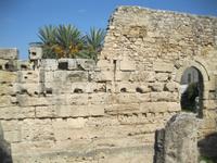 IMG_6871 Tempio di Apollo - Ortigia