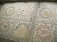 IMG_6903  Fußbodenmosaike