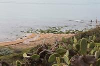 Blick von Selinunte zum ehemaligen Hafen (2)