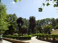 Palmegarten - Palermo