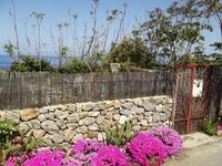 Inselrundfahrt Lipari