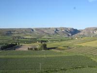 Felder entlang des Weges nach Castelvetrano