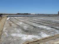 Meersalzgewinnung in den Salinen von Marsala