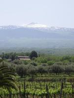 Besuch des Agriturismo Borgo San Nicolao