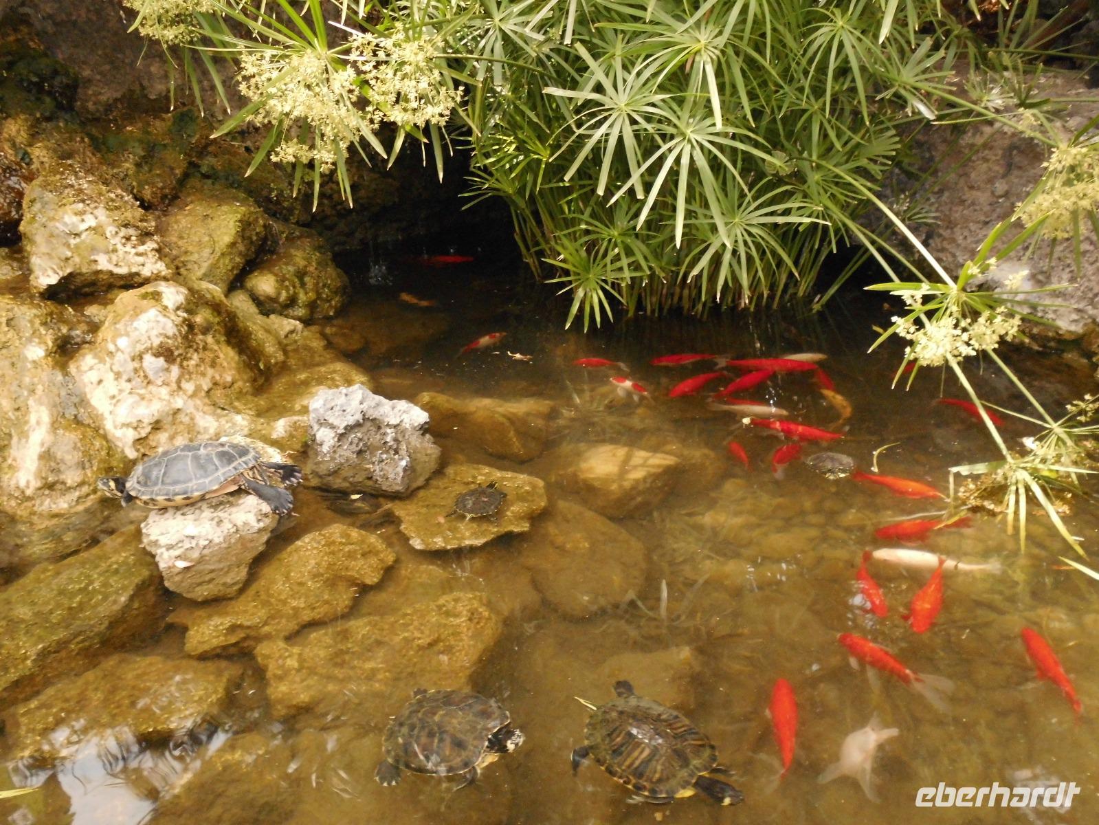  Willkommen in Gardini Naxos