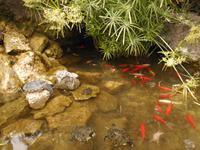  Willkommen in Gardini Naxos