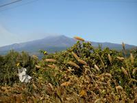  Blick zum Ziel unserer Sehnsucht : dem Ätna