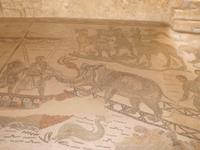  Mosaiken in der  villa Romana