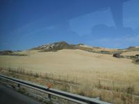  Getreidefelder im Inneren der Insel